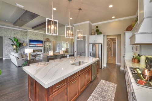 Florida Custom Home - Kitchen